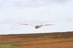 T21 Landing